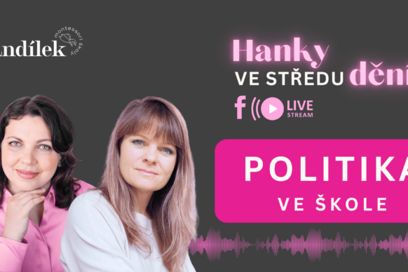 politika ve skole